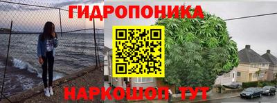 ALPHA PVP Кингисепп