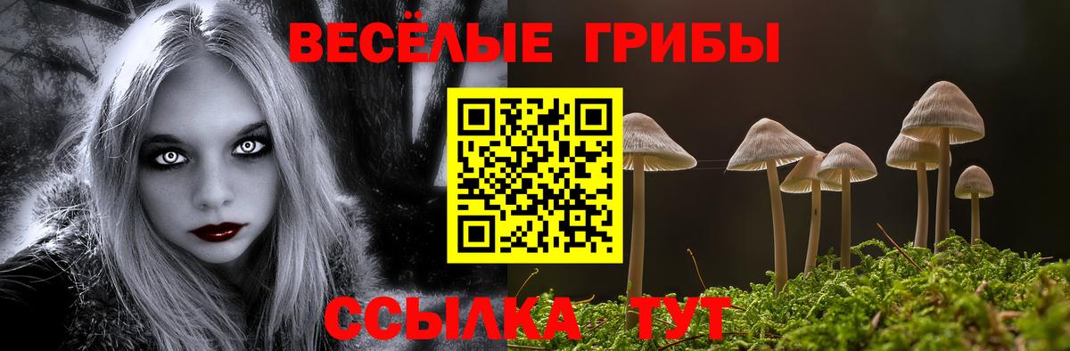 Псилоцибиновые грибы мухоморы Камышлов