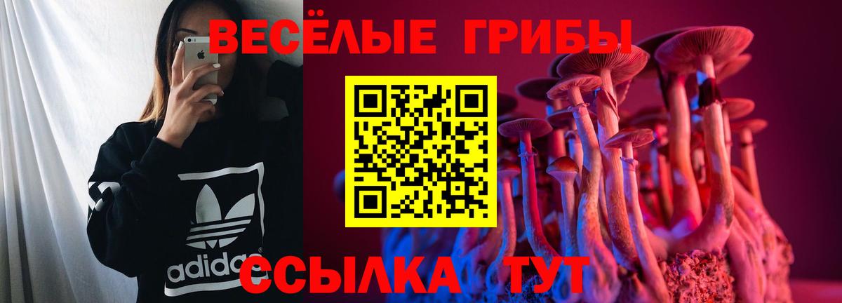 Галлюциногенные грибы Cubensis  Вход с VPN  Псилоцибиновые грибы Magic Shrooms  Камышлов 